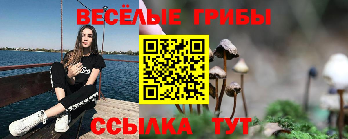 Псилоцибиновые грибы Psilocybine cubensis  Вход с VPN  Новоалександровск 