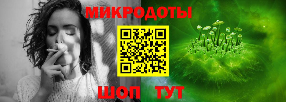 Псилоцибиновые грибы Psilocybe Новоалександровск