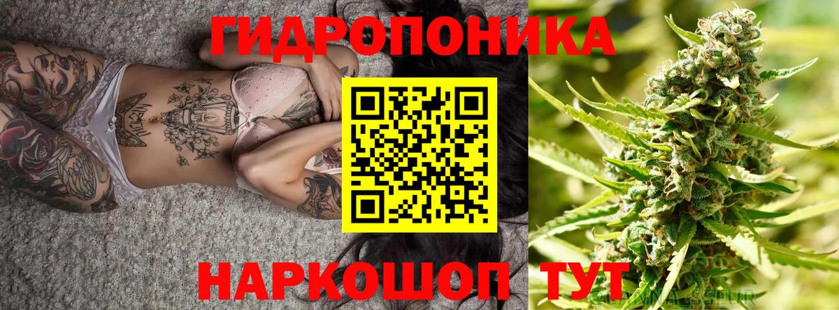 МАРИХУАНА Bruce Banner Новоалександровск